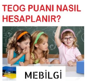 teog puanı nasıl hesaplanır