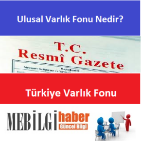 Ulusal Varlık Fonu ve Amacı Nedir